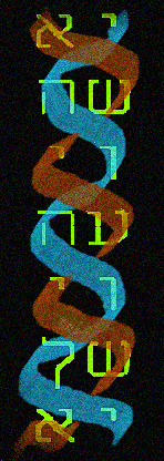 DNA Bible Code