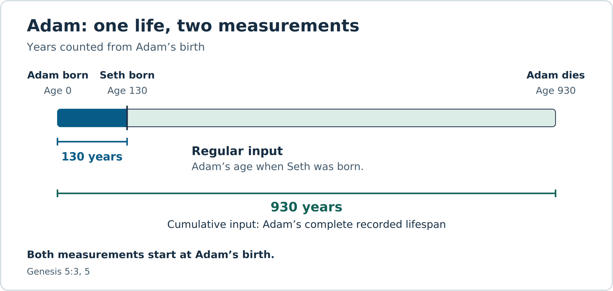 Adam’s life is measured from his birth at age 0. Seth is born when Adam is 130; Adam dies at 930. Regular chronology uses the 130-year begetting age, while cumulative chronology uses the complete 930-year lifespan. Both measurements begin at Adam’s birth.